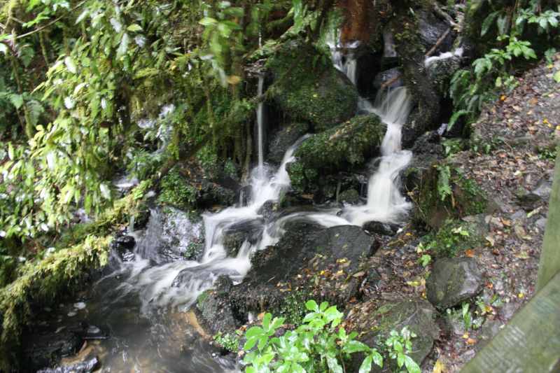 Nieuw-Zeeland 2011 - 1889